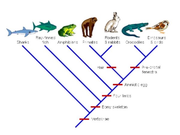 Source: www.exobiologie.info/SVT4.pdf