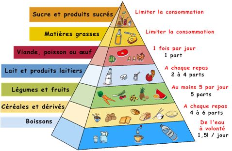 Pyramide alimentaire